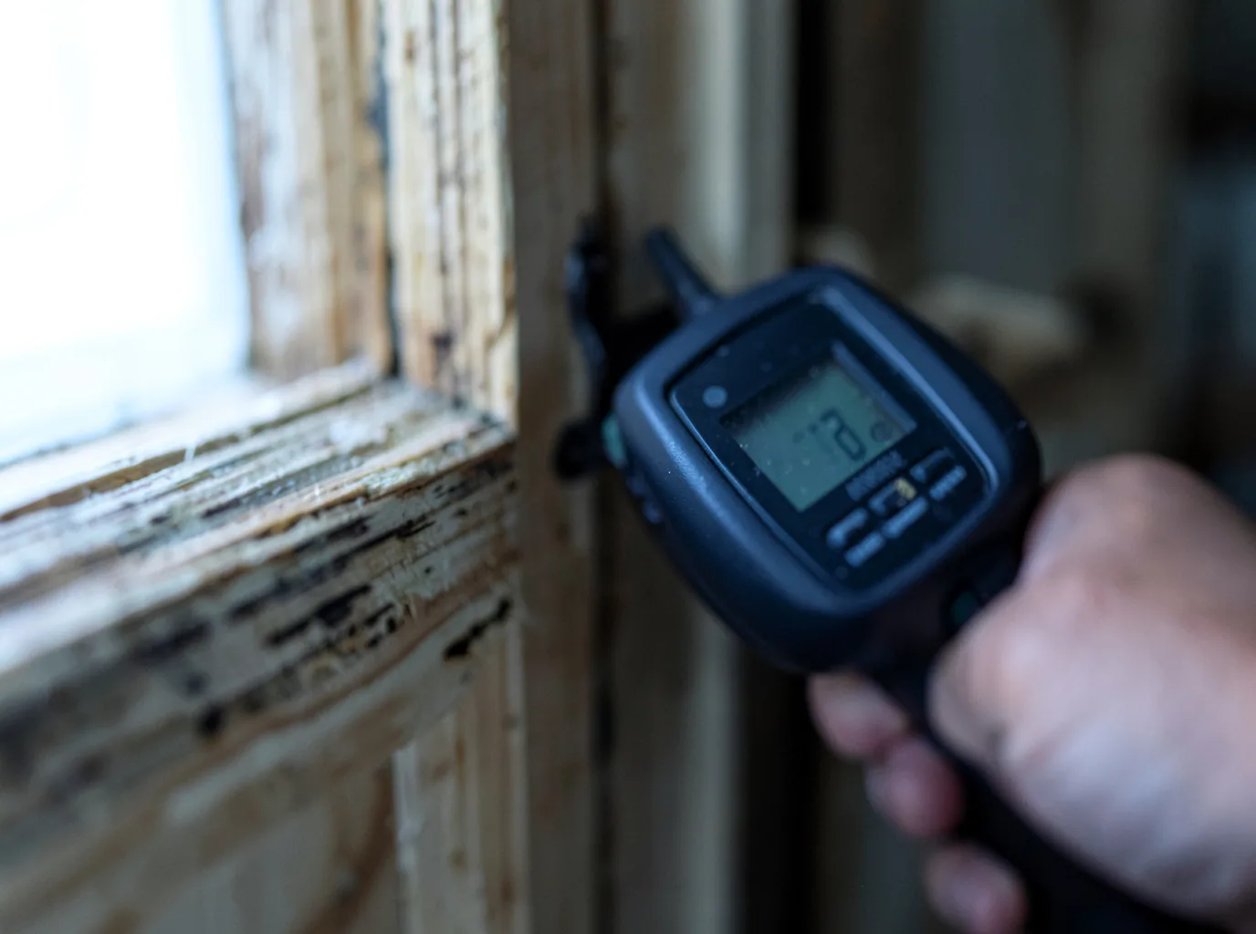 Moisture Inspection And Documentation in Madrid, IA